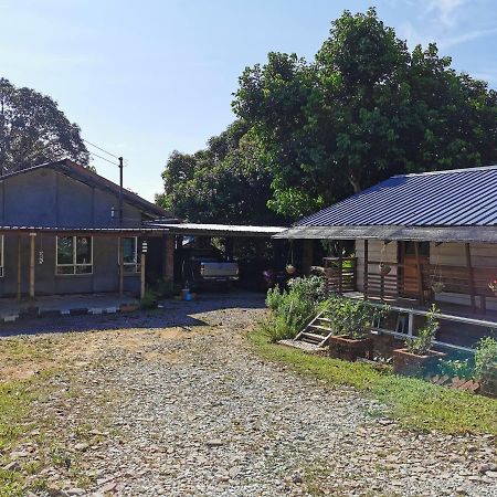 Cassava Homestay - Rumah Gallery Simanggang Dış mekan fotoğraf